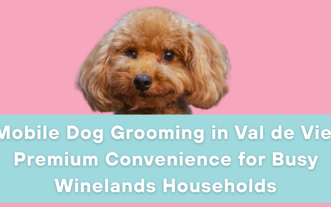 Mobile Dog Grooming in Val de Vie: Premium Convenience for Busy Winelands Households