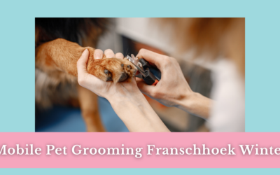 Mobile Pet Grooming in Franschhoek During Winter: Comfort Close to Home