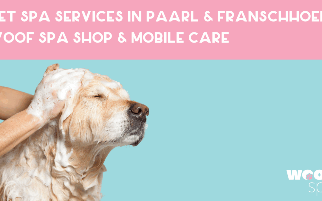 Per Spa Services in Paarl & Franschhoek Woof Spa Shop & Mobile Care with a dog getting cleaned