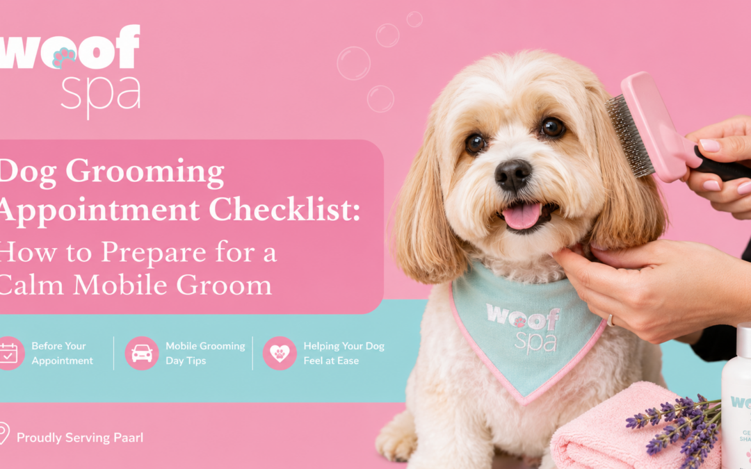 Dog Grooming Appointment Checklist: How to Prepare for a Calm Mobile Groom