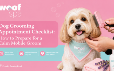 Dog Grooming Appointment Checklist: How to Prepare for a Calm Mobile Groom