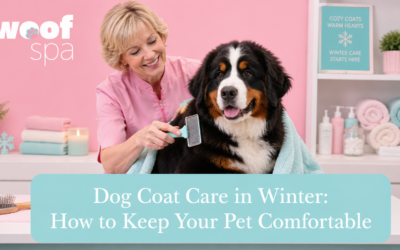 Dog Coat Care in Winter: How to Keep Your Pet Comfortable